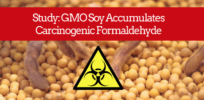 gmo soy accumulates formaldehyde greenmedinfo com