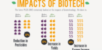 impacts of biotech