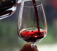 Resveratrol in red wine might protect against cancer, but don't reach for drink just yet