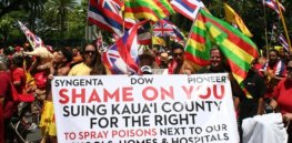 Hawaii activists marshall anecdotes to claim GMOs, pesticides linked to birth defects