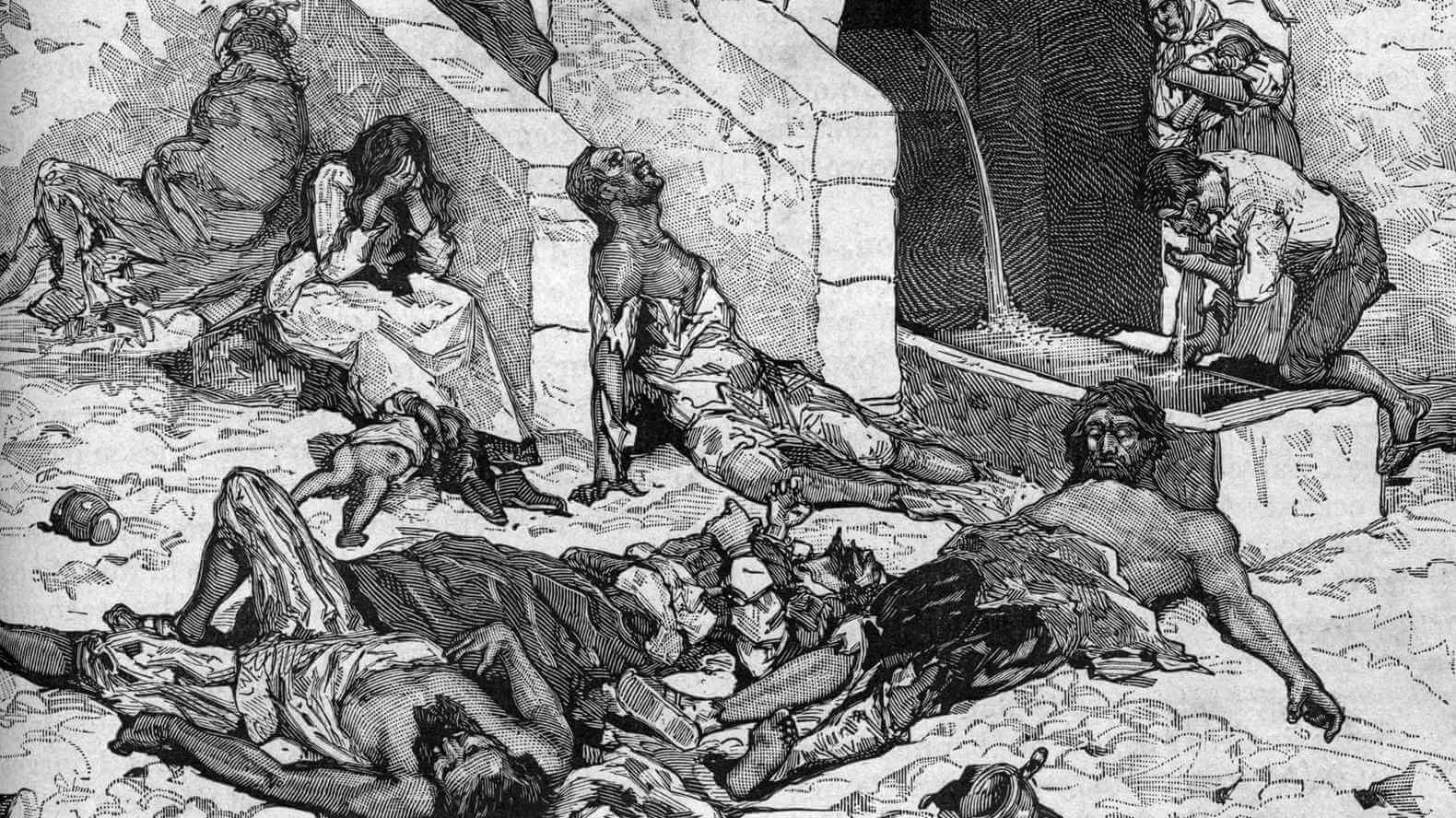 Image result for The Black Death Returns: Bubonic Plague Confirmed in Arizona