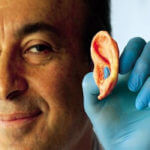 Japanese Scientists Perfect Technique To Grow Human Organs In Animals
