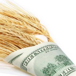 NEW Wheat And Dollars