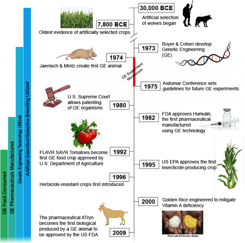 A Short History Of Gmos From Prehistoric Times To Today Genetic Literacy Project