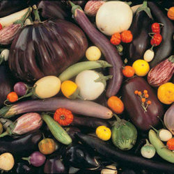 ag diversity