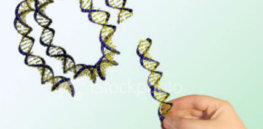 Next-generation genetic engineering must address public fears