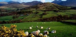 northern ireland