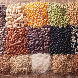 various seeds
