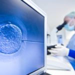 IVF Rex