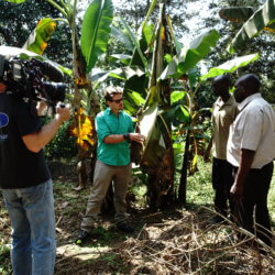 Nick and crew banana