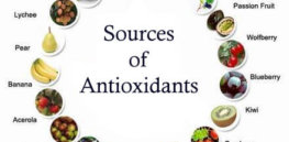 antioxidant sources