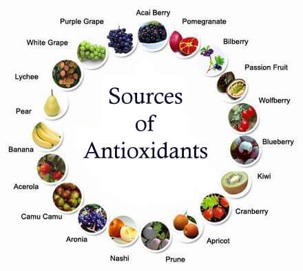 Plant sources of antioxidants