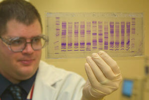 CBP_chemist_reads_a_DNA_profile