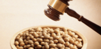 GMO patent controversy 2: Supreme Court cases of farmers Bowman and Schmeiser