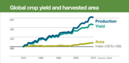 yield area production chart w e