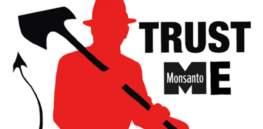 GMO patent controversy 3: Does Monsanto sue farmers for inadvertent GMO 'contamination'?