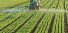 pesticide spraying