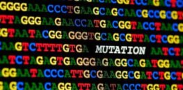 DNA letters with mutation