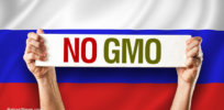 No GMO Flag Russia
