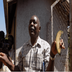 Screen Shot at PM