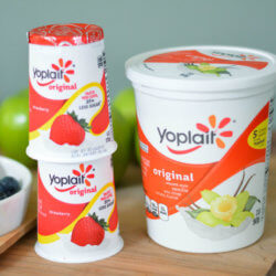 Yoplait Wholesome Snacking