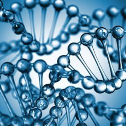 dna genetics