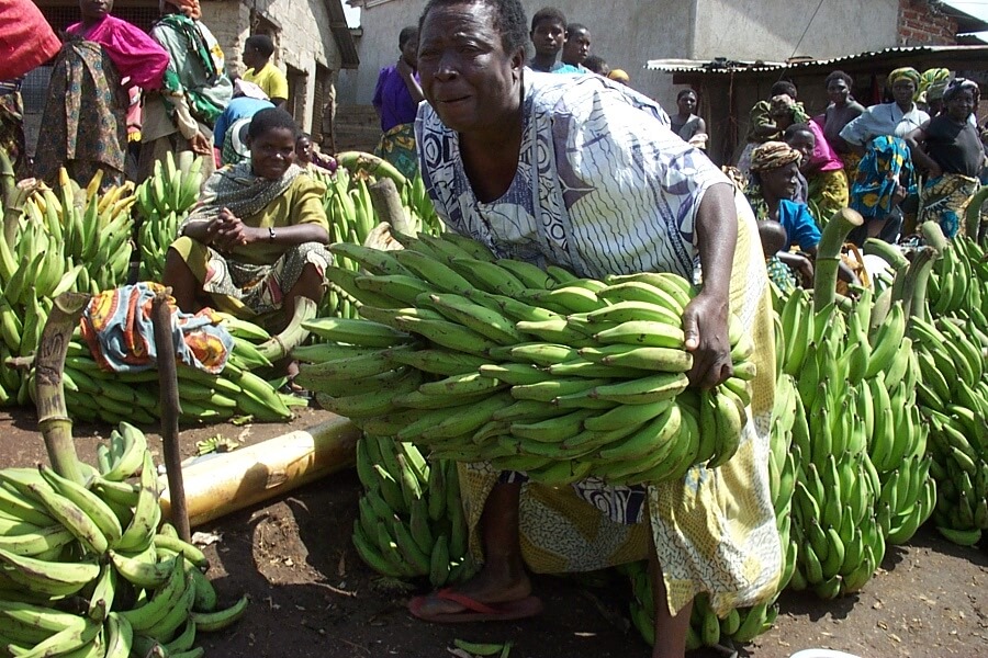 mwanamke akinyanyua mkungu wa ndizi katika soko la tukuyu