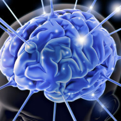 Cross talk between human gut bacteria brain