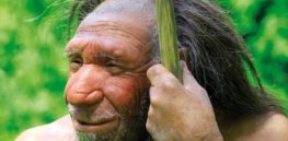 image Neanderthal genome