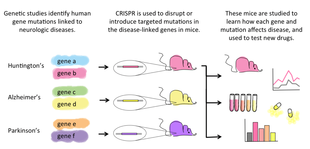 CRISPR for neurosci