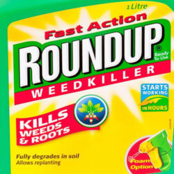 Glyphosate Probably Carcinogenic to Humans