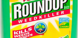 Glyphosate Probably Carcinogenic to Humans