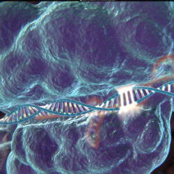 crispr