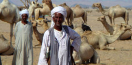 Are Sudanese Arabs?