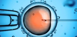 human embryo editing