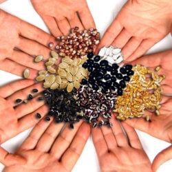 seed swap
