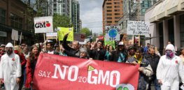 March Against Monsanto Vancouver