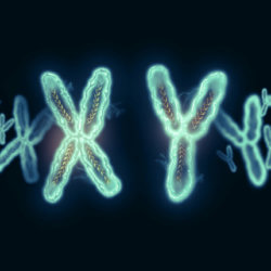 y chromosome loss alzheimers