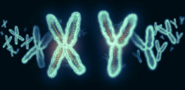 y chromosome loss alzheimers