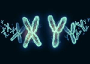 y chromosome loss alzheimers