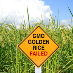 GMO Golden Rice Failed sign x