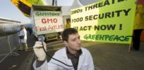 Protect agriculture and stand up against GM crops