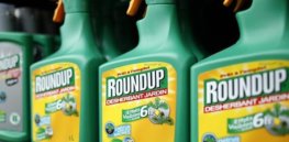 article roundup glyphosate pesticides x