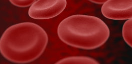 blood cells by RATusus CC BY e