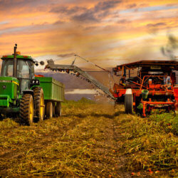 farming