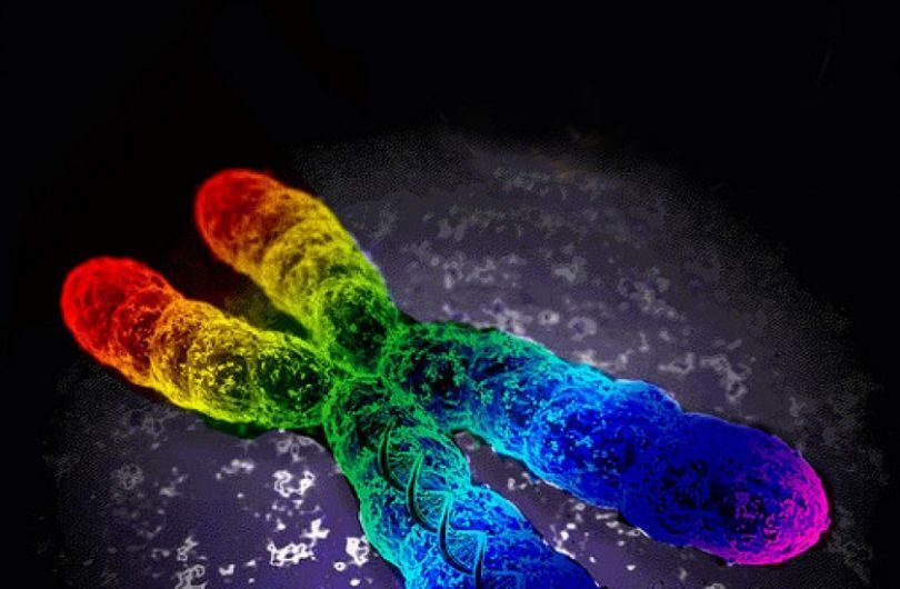 https://geneticliteracyproject.org/wp-content/uploads/2016/06/the-gay-gene-explained-revealed-exposed-science-god-bible-homosexuality-men-lesbian-women-lust-dna-made-born-origins-840x550-810x530.jpg