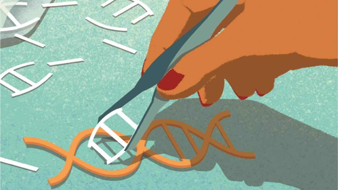 DIY CRISPR Kit