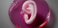 science human body upgrades artificial ear x