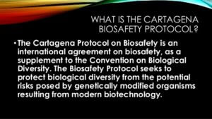 biotechnology-and-the-government-18-638