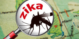 dt florida map zika x